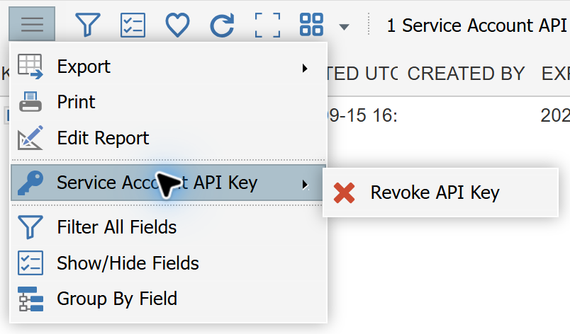 API Keys report menu showing Service Account API Key and the Revoke API Key action with a cancellation icon.